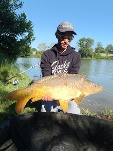 Mirror Carp