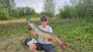 Northern Pike