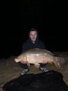 Leather Carp