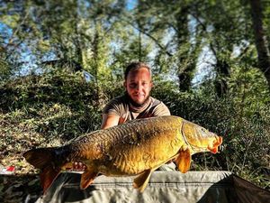 Common Carp