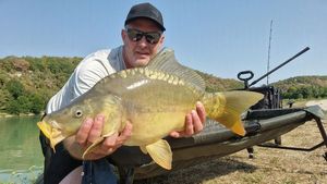 Mirror Carp