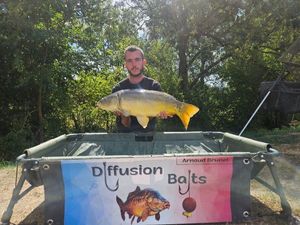 Mirror Carp