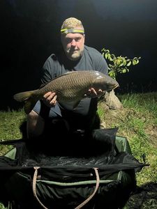 Common Carp