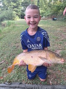 Common Carp