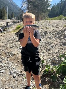 Rainbow Trout