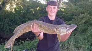 Northern Pike