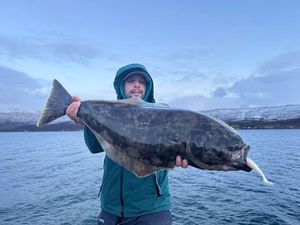 Greenland Halibut