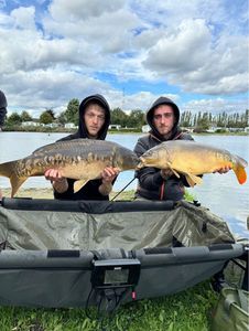 Mirror Carp