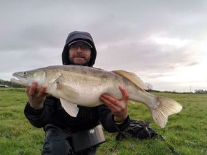 Zander