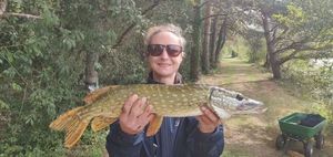 Northern Pike