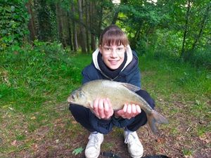Common Bream