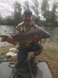 Common Carp