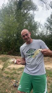 Largemouth Bass