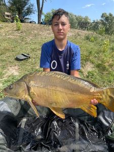 Mirror Carp