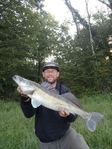 Zander
