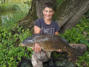 Common Carp