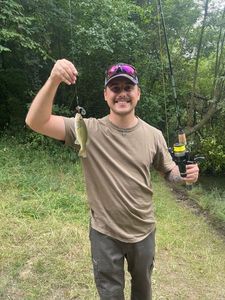 Largemouth Bass