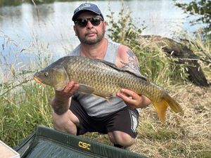 Common Carp