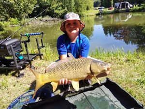 Common Carp