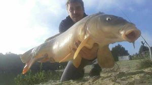 Mirror Carp