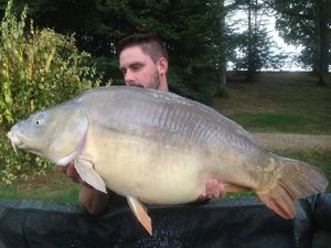 Mirror Carp