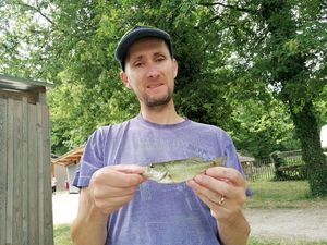 Largemouth Bass