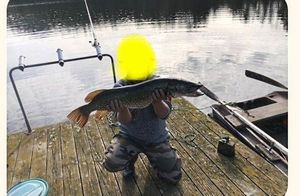 Northern Pike