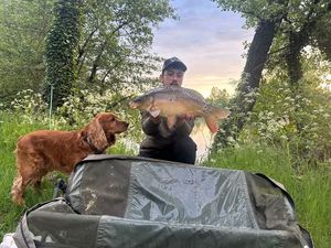 Mirror Carp