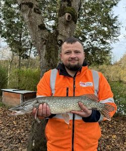 Northern Pike