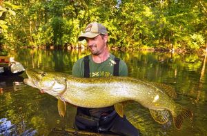 Northern Pike