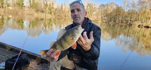 European Perch