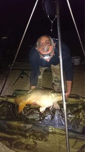 Mirror Carp