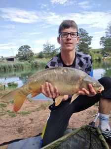 Mirror Carp