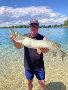 Northern Pike