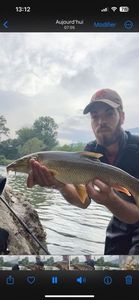 Barbel