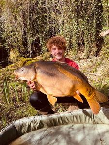 Mirror Carp