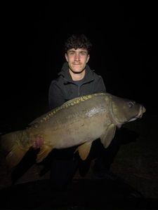 Mirror Carp