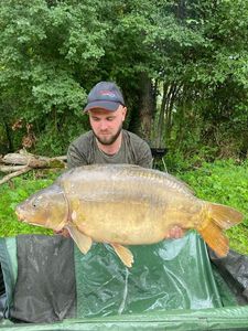 Mirror Carp