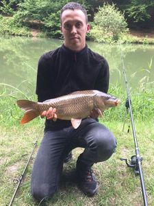 Common Carp