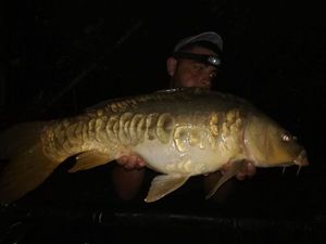 Mirror Carp