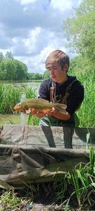 Tench