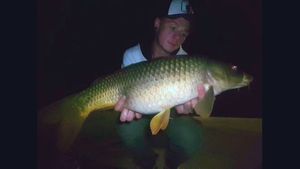 Common Carp