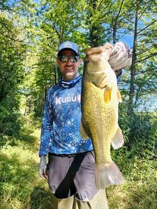 Largemouth Bass