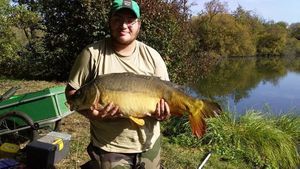 Carpe miroir