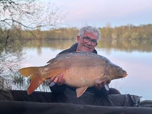 Mirror Carp