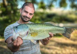 Largemouth Bass