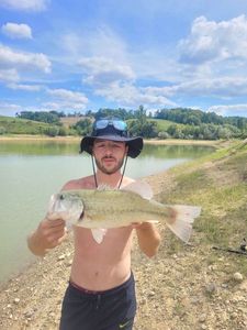 Largemouth Bass