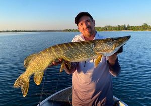Northern Pike