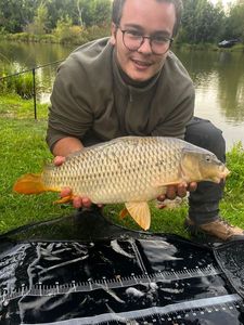 Common Carp