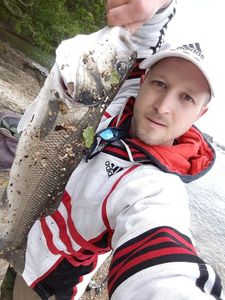 European Bass (Seabass)